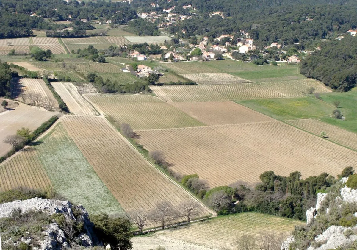 La plaine de Roquefort-la-Bédoule
